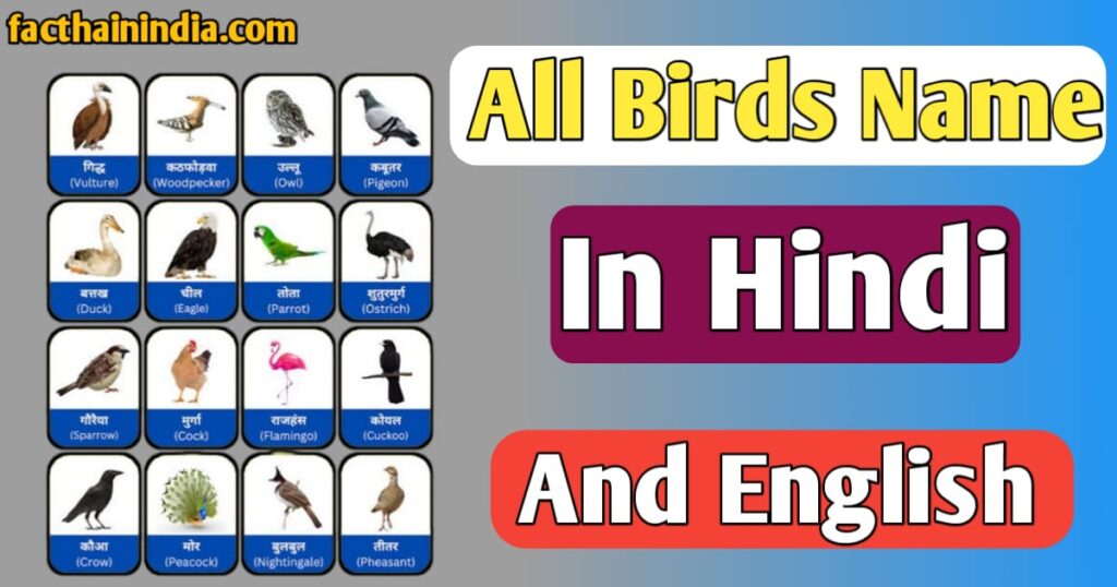 Birds Name in hindi and English